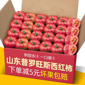 包邮 山东自然熟普罗旺斯西红柿新鲜5斤装 新鲜蔬菜农家沙瓤小番茄