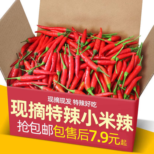 小米椒5斤新鲜现摘特辣农家蔬菜