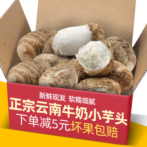 新货现挖云南牛奶小芋艿5-9斤