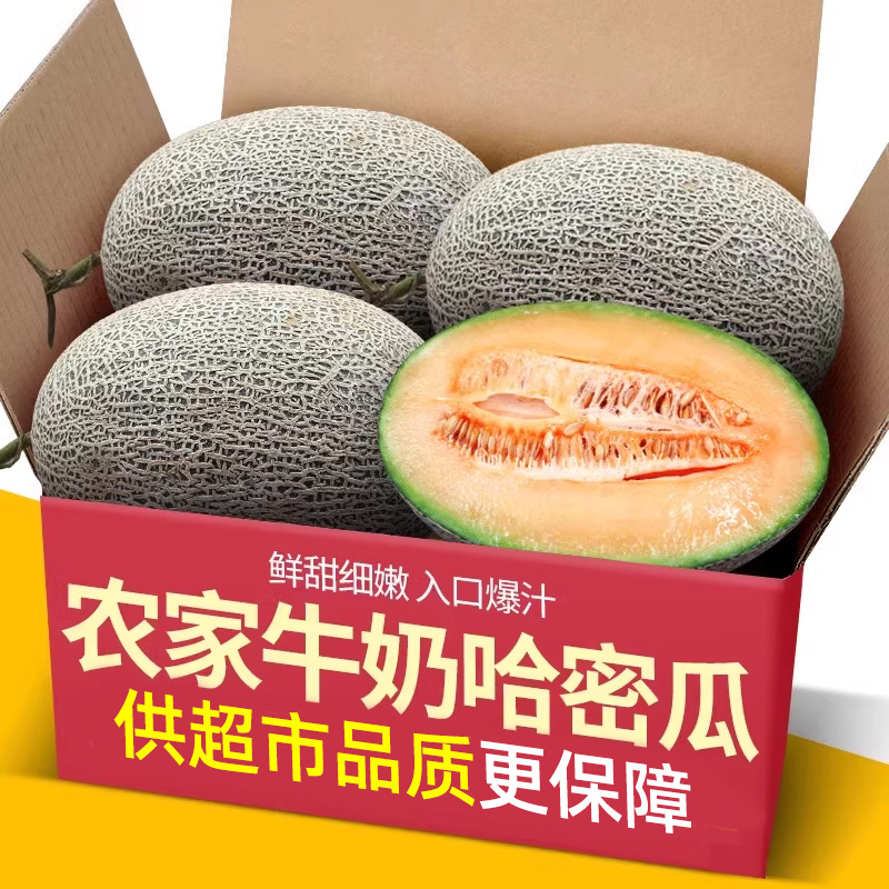海南农家正宗哈密瓜大果应季新鲜水果甜瓜整箱包邮哈密瓜西州蜜瓜