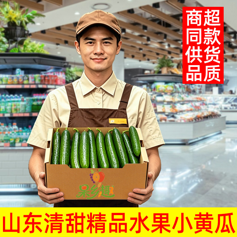 【只发精品】正宗荷兰水果小黄瓜5斤精品装无刺脆甜嫩黄瓜新鲜