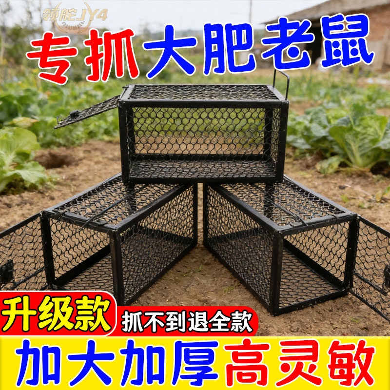 大号捕鼠笼高灵敏老鼠笼室内厨房墙角抓鼠秋冬解决鼠患捕鼠工具