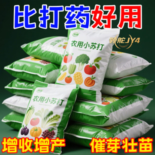 热卖 农用种菜杀虫小苏打粉农药除虫杀菌增产增收花卉绿植蔬菜用