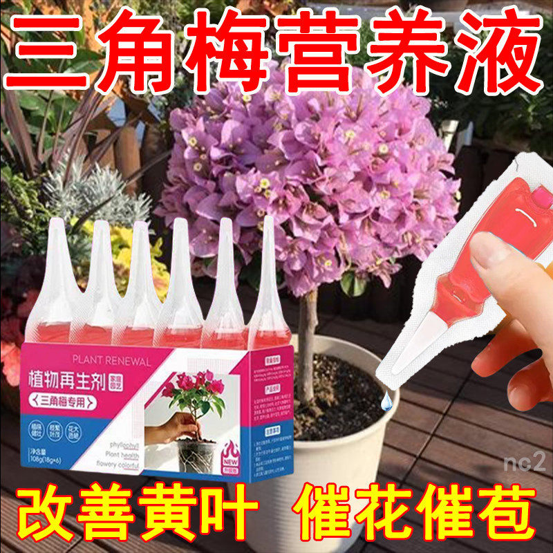 通用型三角梅植物再生剂绿植花卉盆栽水溶肥料家庭园艺肥料免稀释,鲜花速递/花卉仿真/绿植园艺,家庭园艺肥料,淘宝优惠券,粉丝福利购,淘宝优惠卷