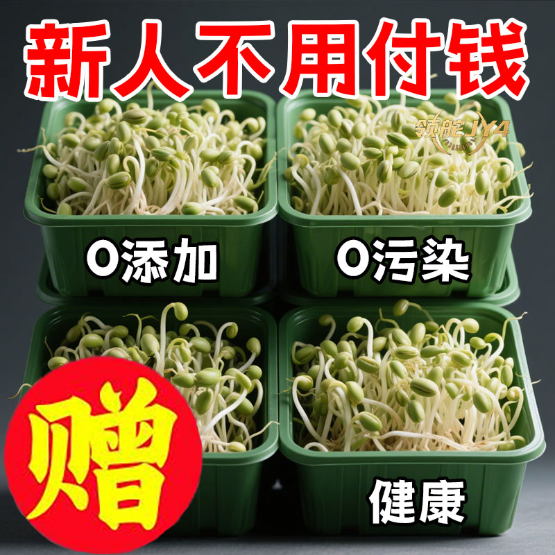 厨房有机豆芽盒加厚加长食品级材质零添加种菜神器其它厨房家电