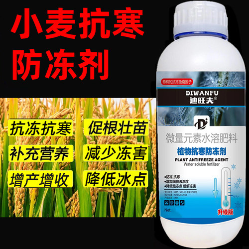 小麦防冻液小麦抗冻防寒剂小麦专用药解冻害抗低温小麦防冻剂叶肥