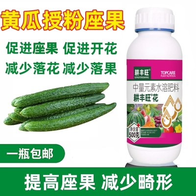 黄瓜授粉药黄瓜强力授粉黄瓜坐果灵保花保果防落果防裂黄瓜座果灵