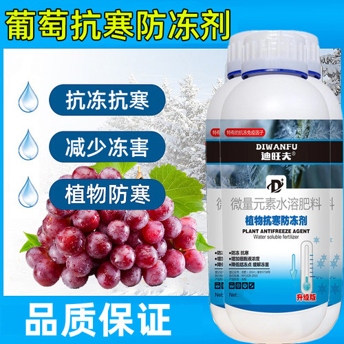 葡萄防冻液葡萄抗冻防寒剂葡萄专用药解冻害抗低温葡萄防冻剂叶肥