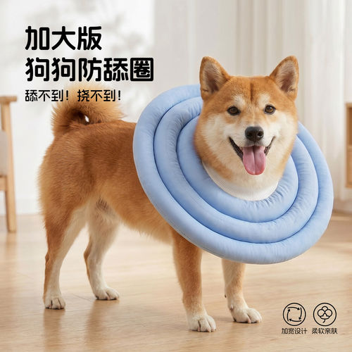 猫钦差加大款狗狗伊丽莎白软圈