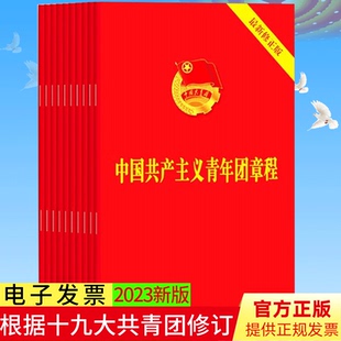 【10册套装】正版 中国共青团团章 中国共产主义青年团章程2023年共青团十九大修订团的基层组织制度团徽团歌手册