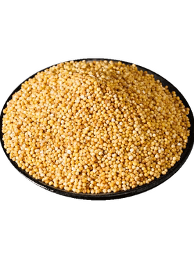 内蒙古糜子炒米400g草原特产小吃