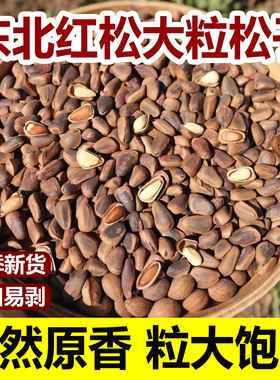 东北大松子2025新货红松林松子开口原味柴火松子非油炸大颗粒松子