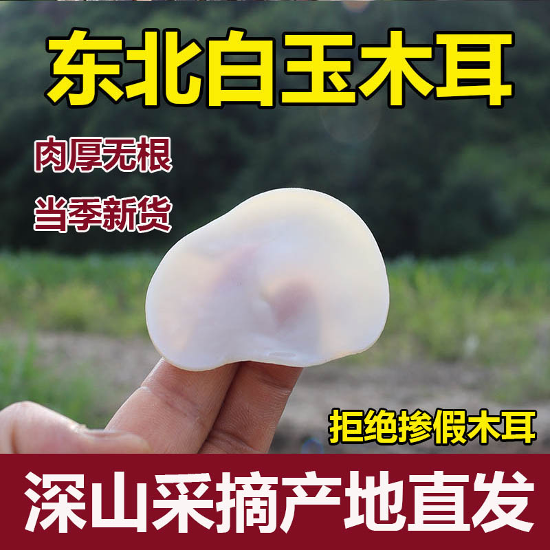 东北野生白玉木耳特级肉厚无根