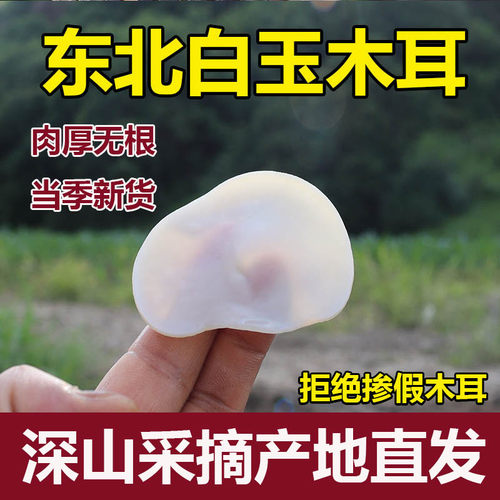 东北野生白玉木耳特级肉厚无根