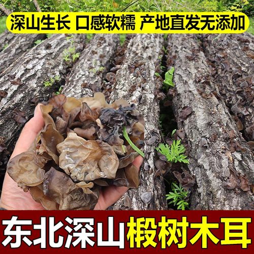 椴木耳东北特产特干货级散装包邮