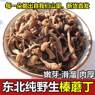 东北野生榛蘑干货无根蘑菇炖小鸡