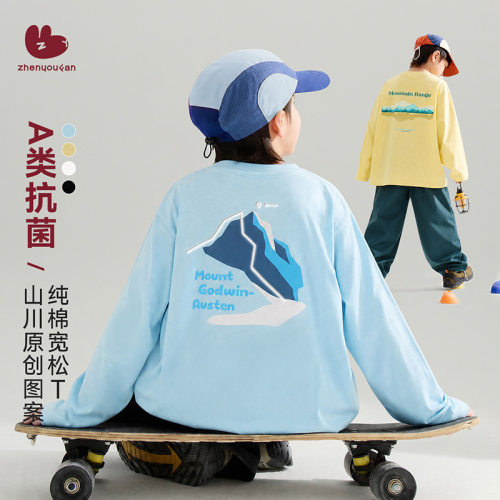 男童春秋长袖印花速干T恤洋气