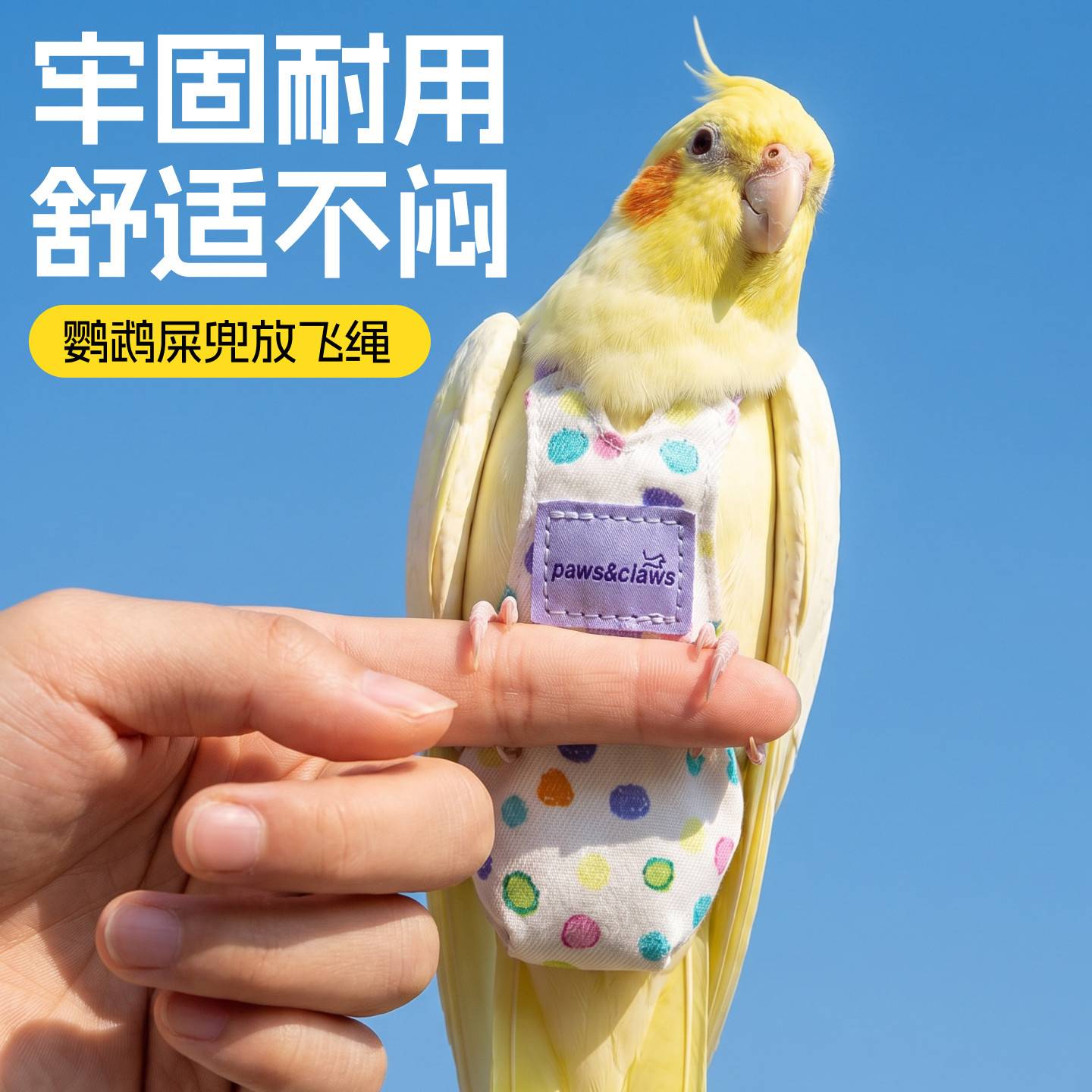 鹦鹉屎兜放飞绳轻薄透气按扣脚环脚链牵引绳小太阳便兜小鸟尿不湿