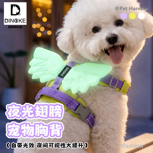 狗狗牵引绳天使翅膀夜光款宠物胸背透气背心大中小型犬外出遛狗绳