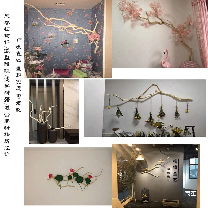 干树枝原木杈枯枝干枝枯木树干鸟架造型壁挂衣架吊顶树枝装饰摆件