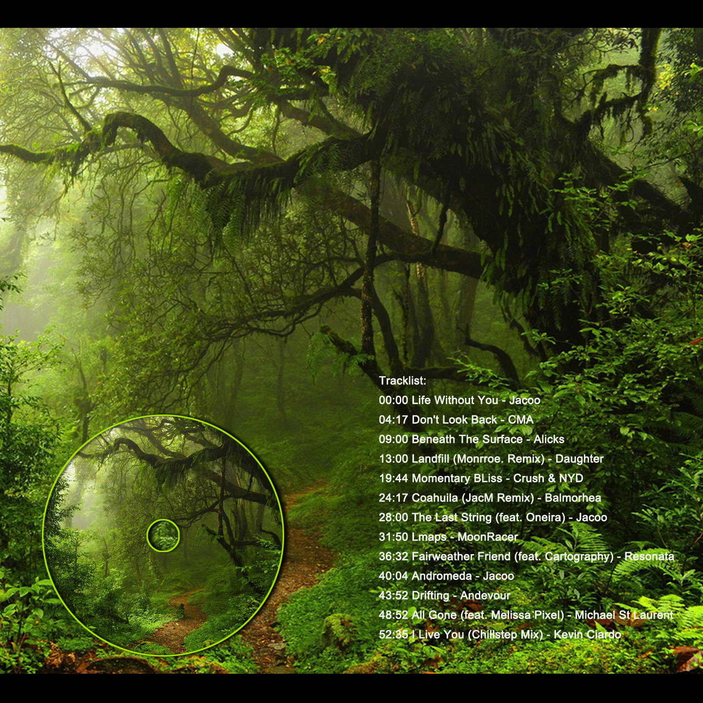 音乐整轨素材幽静森林氛围音乐