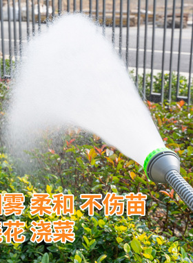 农用浇花浇地浇菜园林浇水浇花雾化育苗花洒水枪4/6分1寸便携喷头