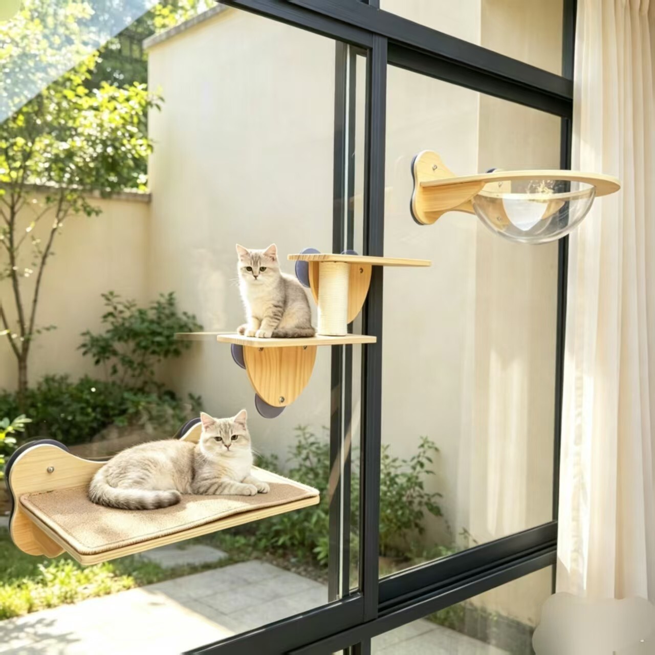 吸盘式猫爬架猫窝猫树一体猫架太空舱不占地壁挂猫咪爬柱