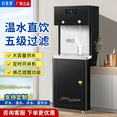 商用直饮水机工厂大容量冰温热开
