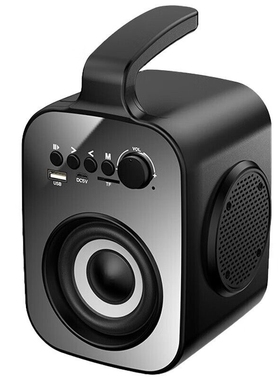 新科（Shinco）L1A 无线蓝牙音箱 小型家用户外大音量广场舞音响