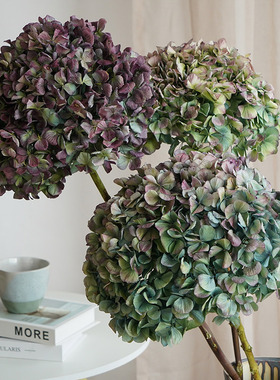 绣球干花高级感真花装饰摆件云南高端干枝树枝纯天然植物拍照道具