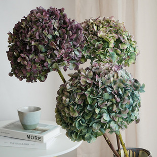 绣球干花高级感真花装 饰摆件云南高端干枝树枝纯天然植物拍照道具