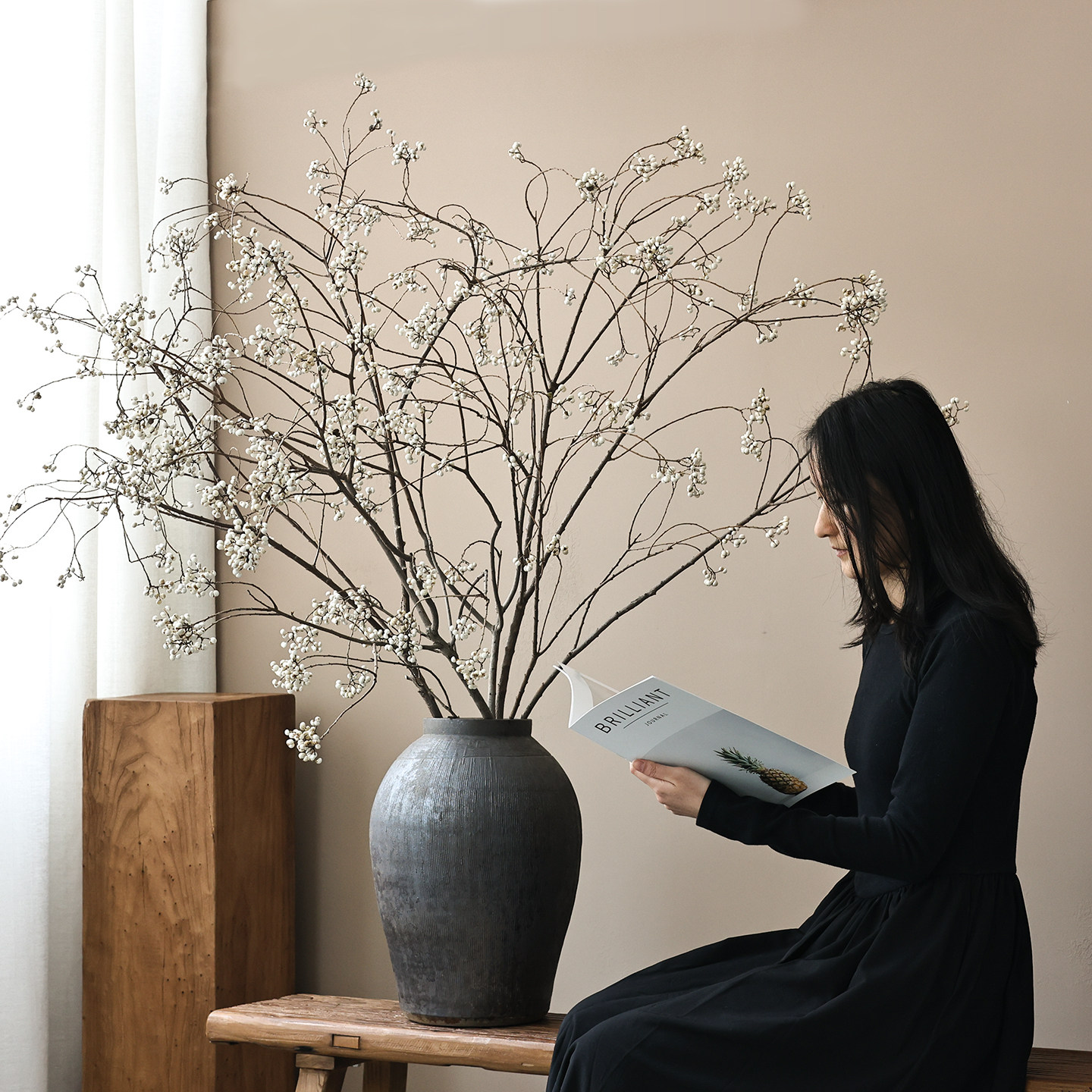 乌桕果小白果干花天然干树枝