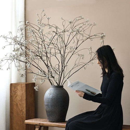 乌桕果小白果干花天然干树枝