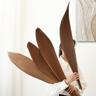 进口可可叶子天然植物干花树叶果壳客厅摆设拍摄道具装 饰摆件