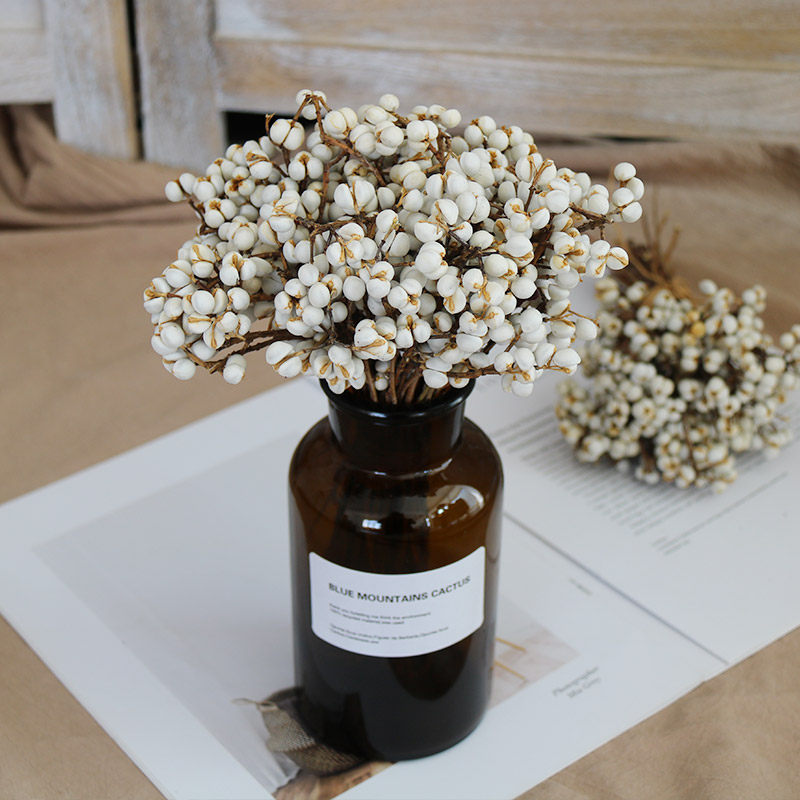 小白果干花花束客厅摆设diy手作圣诞花环材料插花干树枝干果装饰