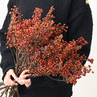 山归来干花花束蔷薇果红果干果复古插花永生花天然风干高级感真花