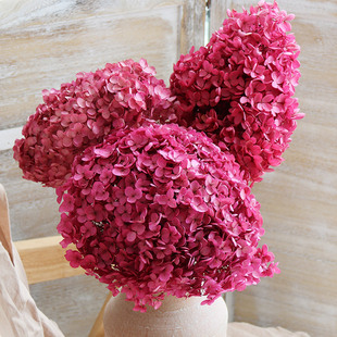 永生花高级感真花绣球花干花花束吊顶婚庆装 饰花材拍照道具干燥花