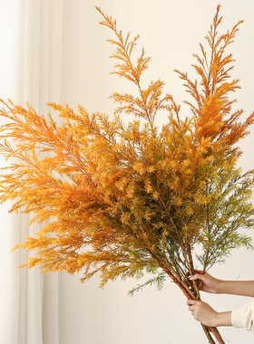 千层金鲜花干花花束客厅摆设树枝插花干枝装饰摆件天然高级感真花