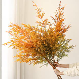 千层金鲜花干花花束客厅摆设树枝插花干枝装 饰摆件天然高级感真花