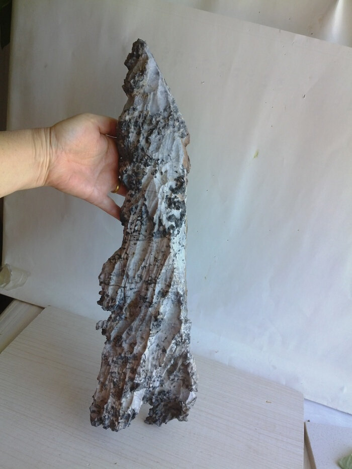 奇石风凌石水冲石戈壁沙漠石玉化泥石额河石文玩观赏假山盆景摆件