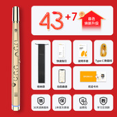 锣钹ROBKOO小小笛新款 国产电吹管电子萨克斯葫芦丝官方旗舰店送礼