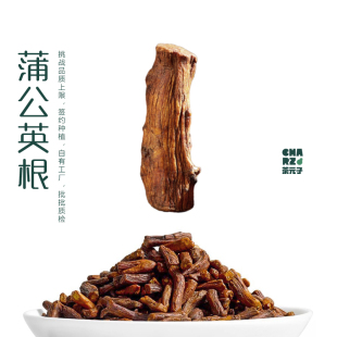 茶元子丨蒲公英根泡水喝的东西泡茶正品天然无添加养生茶花茶