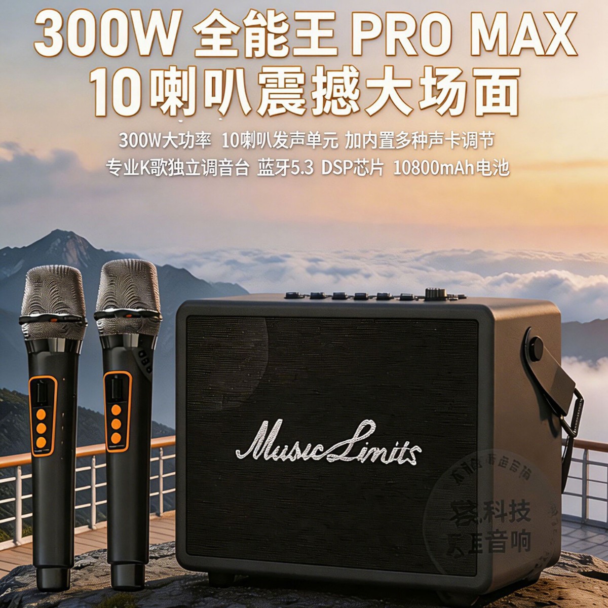 音极限全能王PROMAX蓝牙