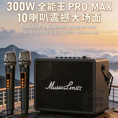 音极限全能王PROMAX蓝牙