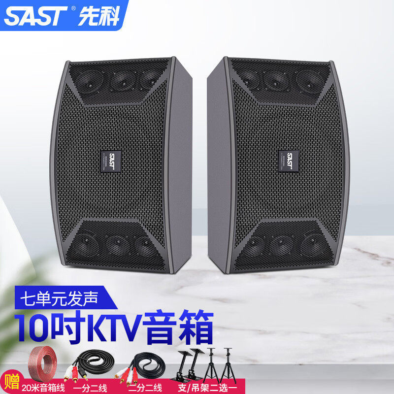 先科（SAST）家庭影院ktv卡包音响套装中级舞台无源音箱 会