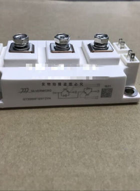 直拍GT450HF120T2VHGF300HF120T2VH功率模块GT300HF120T2VH