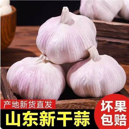 【金乡新干蒜】山东金乡紫白皮大蒜5斤特大新干蒜3斤农家大蒜10斤