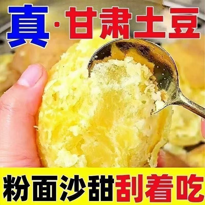 2026现挖定西土豆甘肃沙面蔬菜马铃薯洋芋黄皮黄心新鲜整箱批发