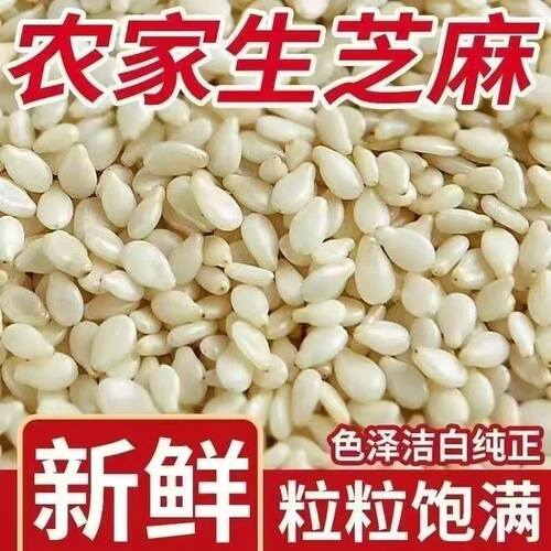 带皮生白芝麻农家优质商用烘焙颗