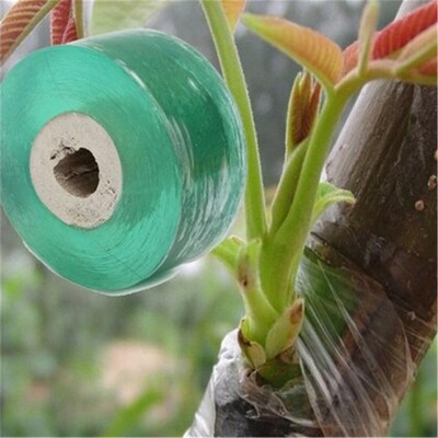10M Garden tree Nursery Seedle floristry Pruner Plant repair